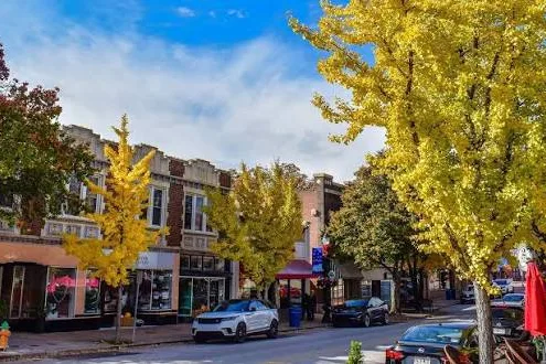 Storefronts and autumn trees along a Webster Groves street